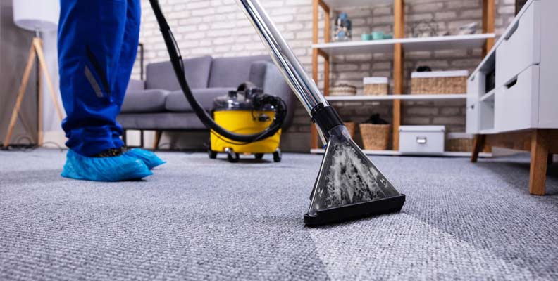 Carpet Steam Cleaning Melbourne - The Squeaky Clean Team Services
